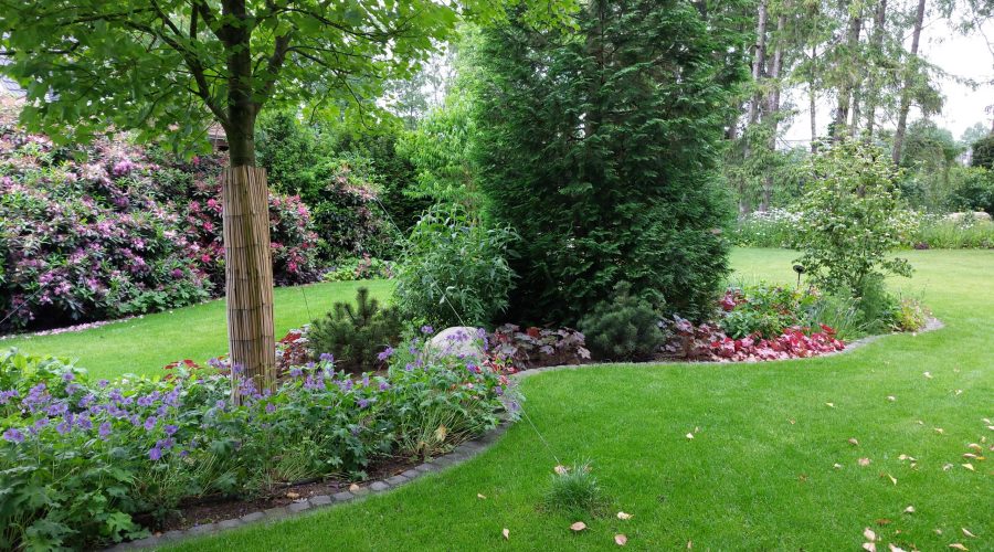 Diercks Garten Rasen und Staudenbeet. Diercks Garten Rasen Beete schöne Bepflanzung