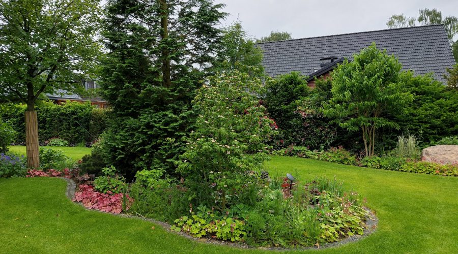 Diercks Garten und Landschaft Pinneberg Pflanzen Stauden Bodendecker Beet