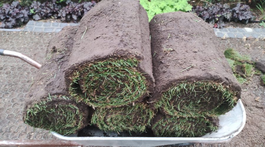 Diercks Garten Rollrasen