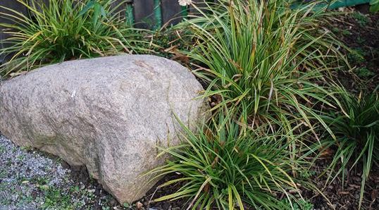 Diercks Garten Findling Diercks Garten Findling Wallstein Granit mit Ziergras