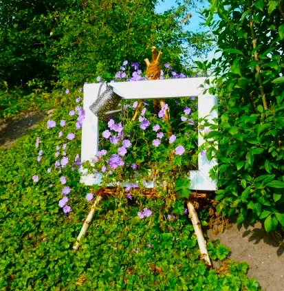 Diercks Garten und Landschaft Storchschnabel Storchschnabel brau rankend