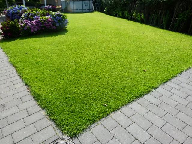 Diercks Garten und Landschaft Rasen Rasen