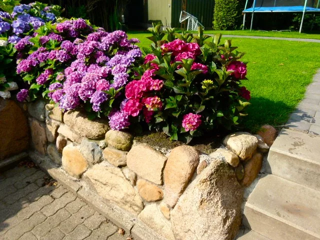 Diercks Garten und Landschaft Friesenwall Friesenwall zur Treppe